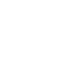 connection-w