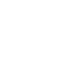 fingerprint