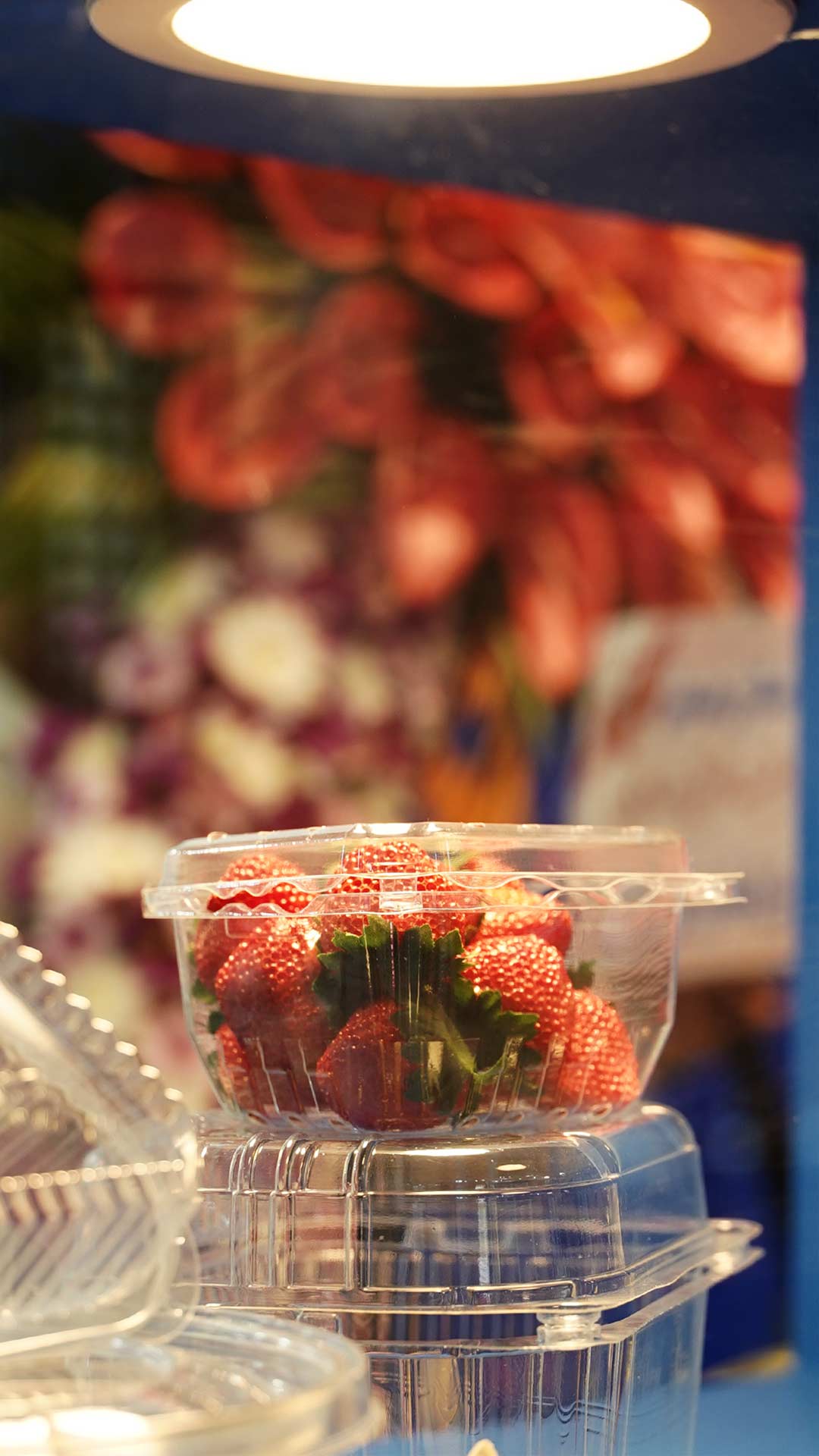 صنایع پلاستیک خوزستان